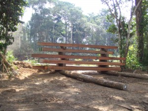 FSC certified Basralocus